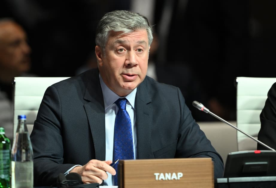 TANAP 2026-cı ildə iqlim adaptasiyası üzrə dayanıqlılığı artıracaq - Saltuk Düzyol
