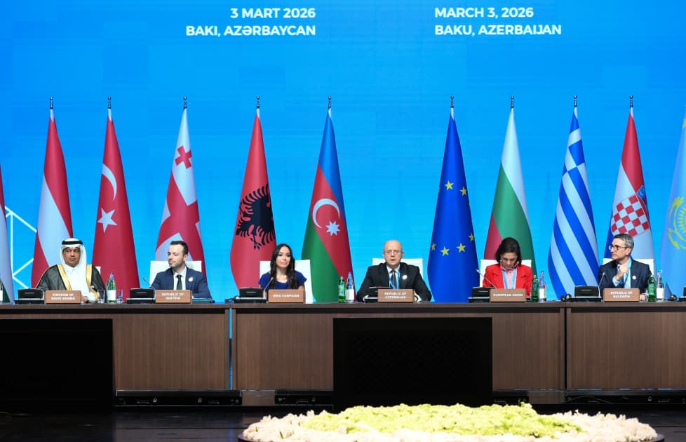 Leyla Əliyeva: Xəzər dənizində ekoloji tarazlığı qorumaq üçün regional əməkdaşlıq vacibdir - Şəkil 6