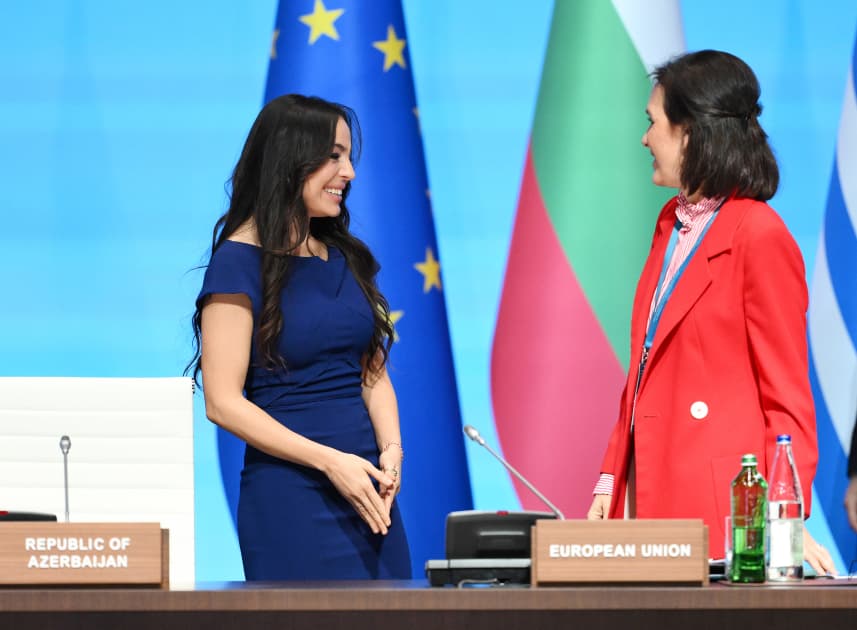 Leyla Əliyeva: Xəzər dənizində ekoloji tarazlığı qorumaq üçün regional əməkdaşlıq vacibdir - Şəkil 7