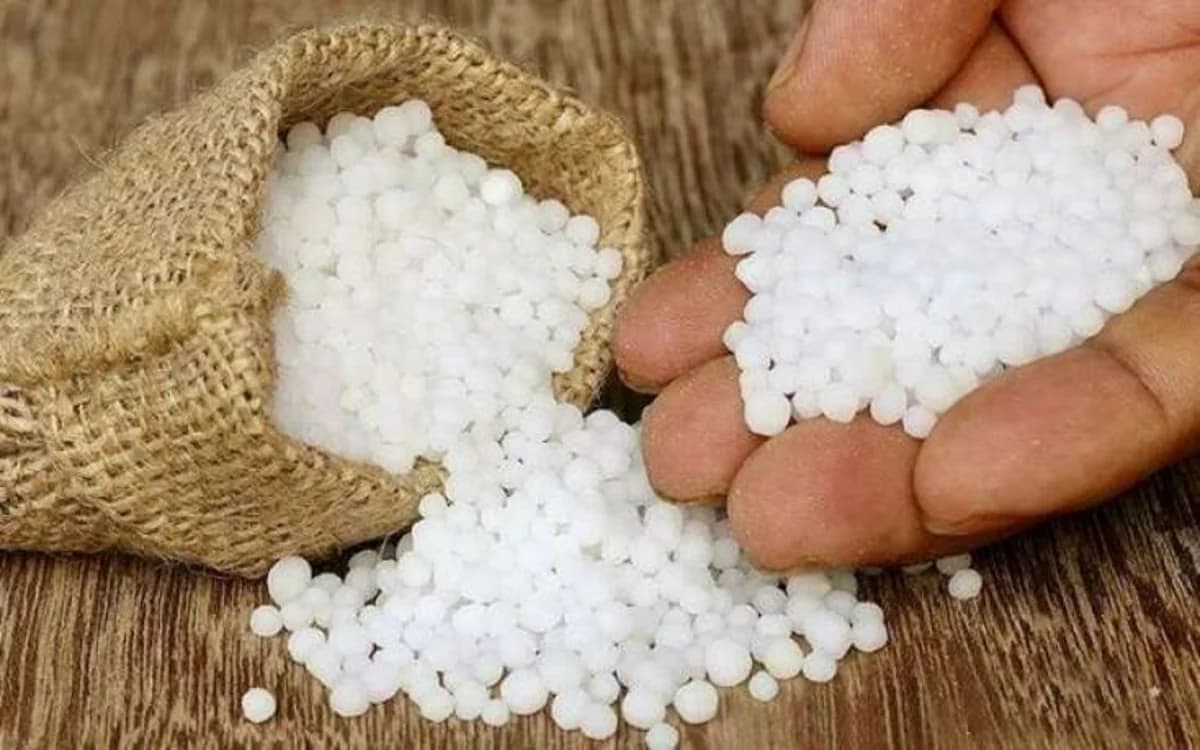 Azərbaycanda karbamid istehsalı azalıb