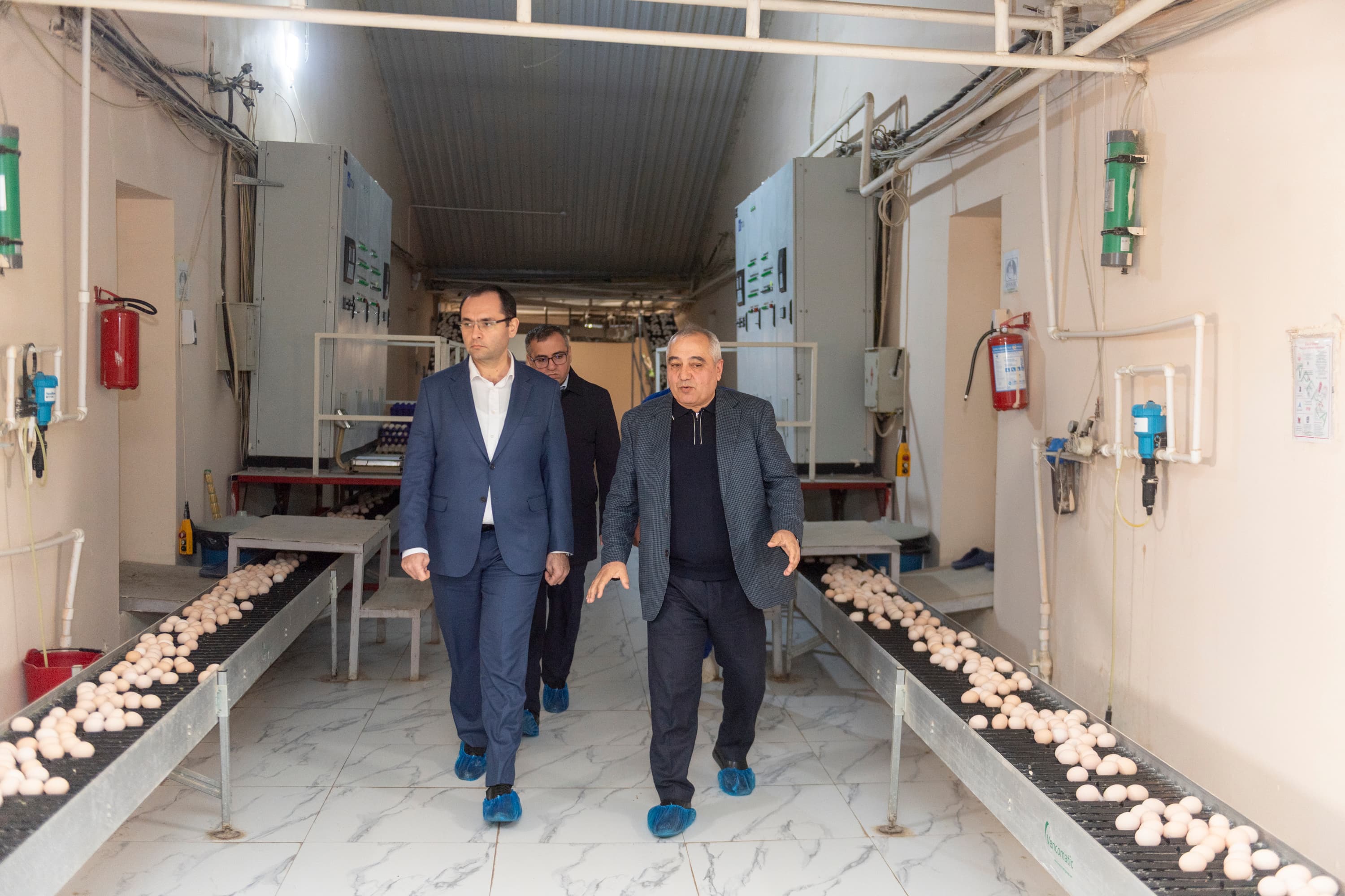 Azərbaycanda Quş Əti və Yumurta İstehsalının İnkişafı Müzakirə Edilib - Şəkil 1