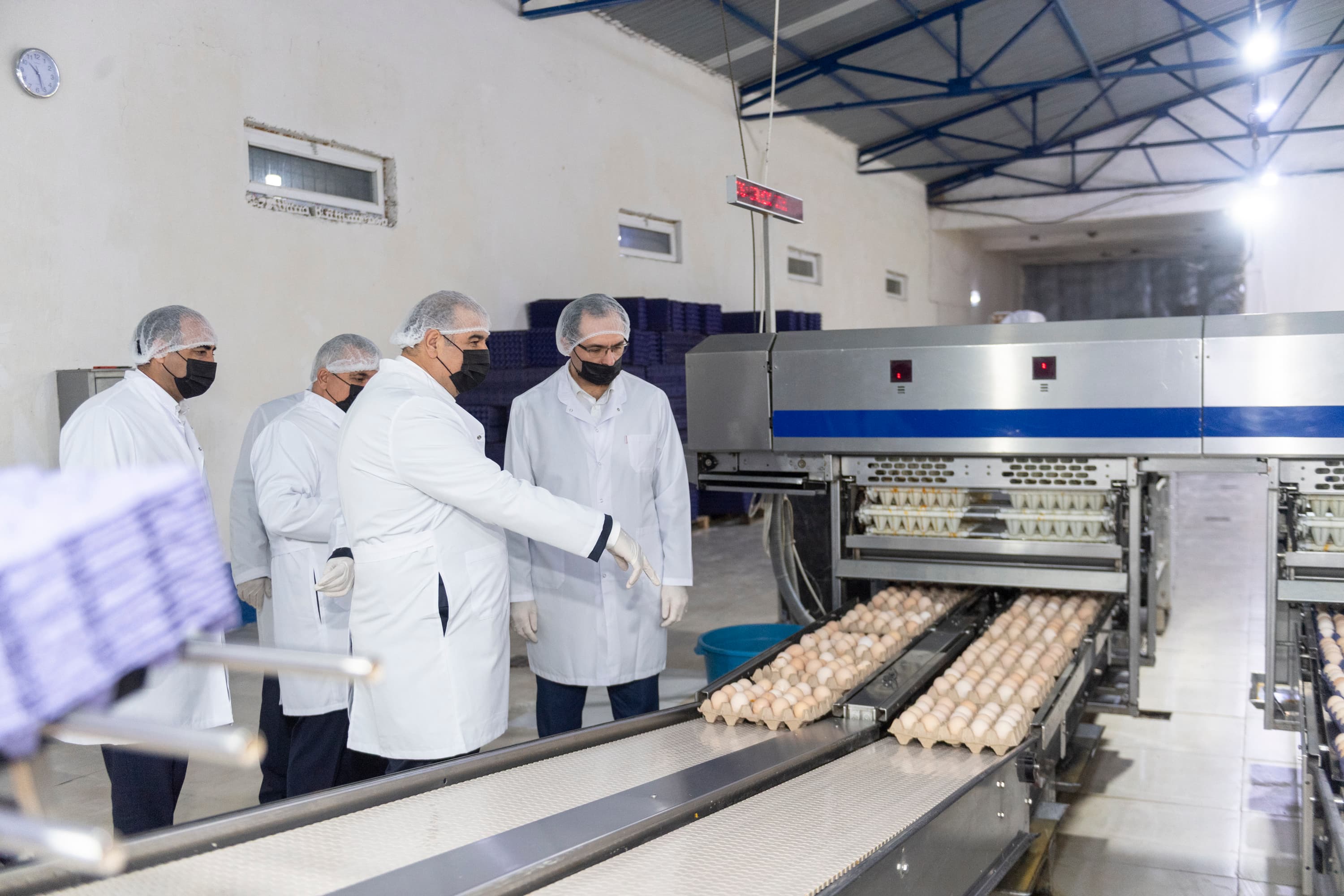 Azərbaycanda Quş Əti və Yumurta İstehsalının İnkişafı Müzakirə Edilib