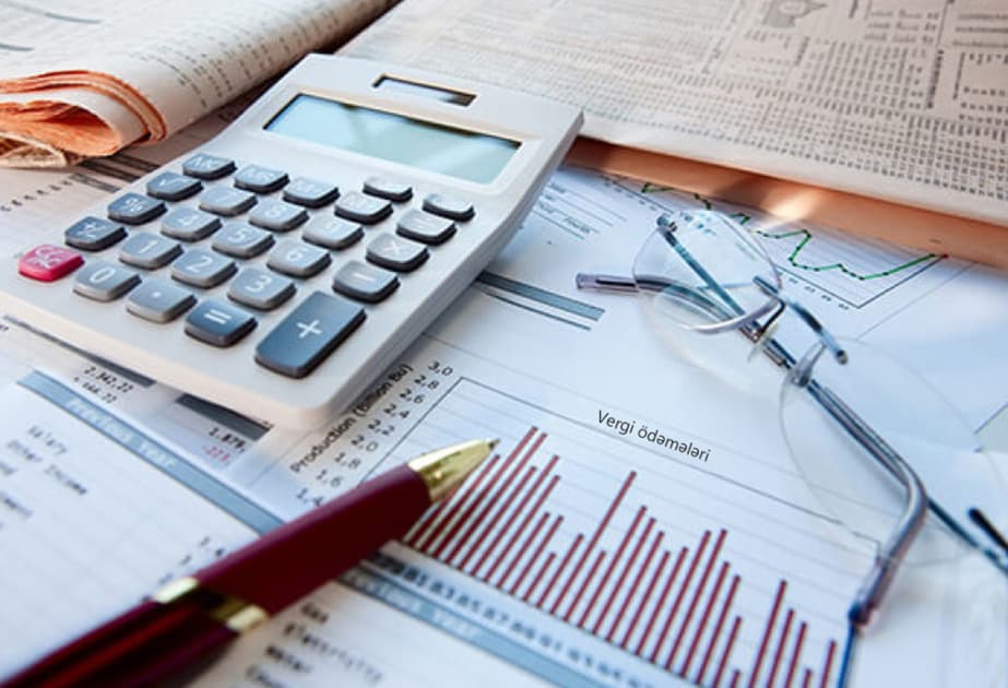 Naxçıvanda vergi ödəyicilərinin sayı 7,4 % artıb