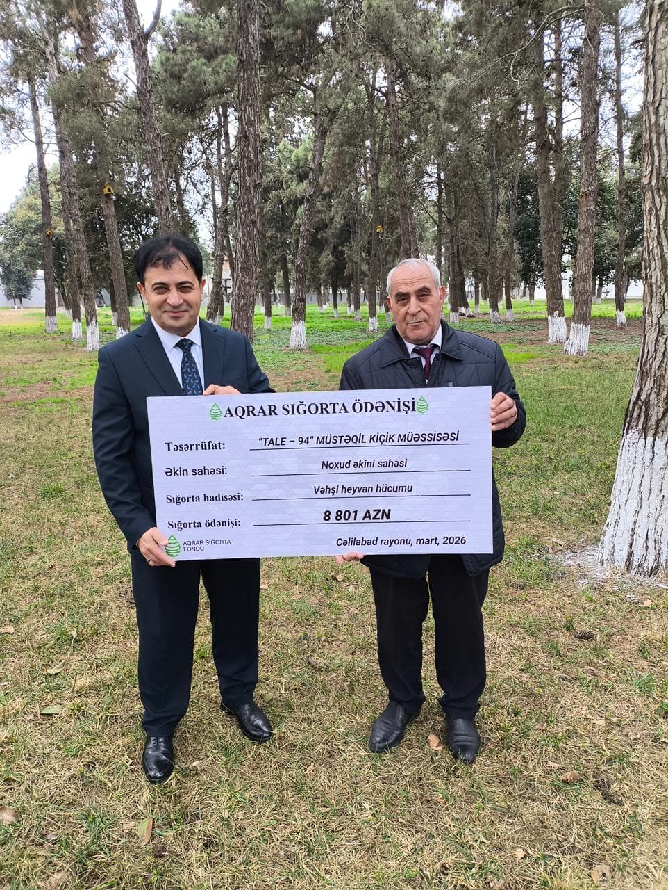 Azərbaycanda dövlət dəstəkli aqrar sığortadan ilk dəfə noxud sahəsi faydalanıb - Şəkil 4