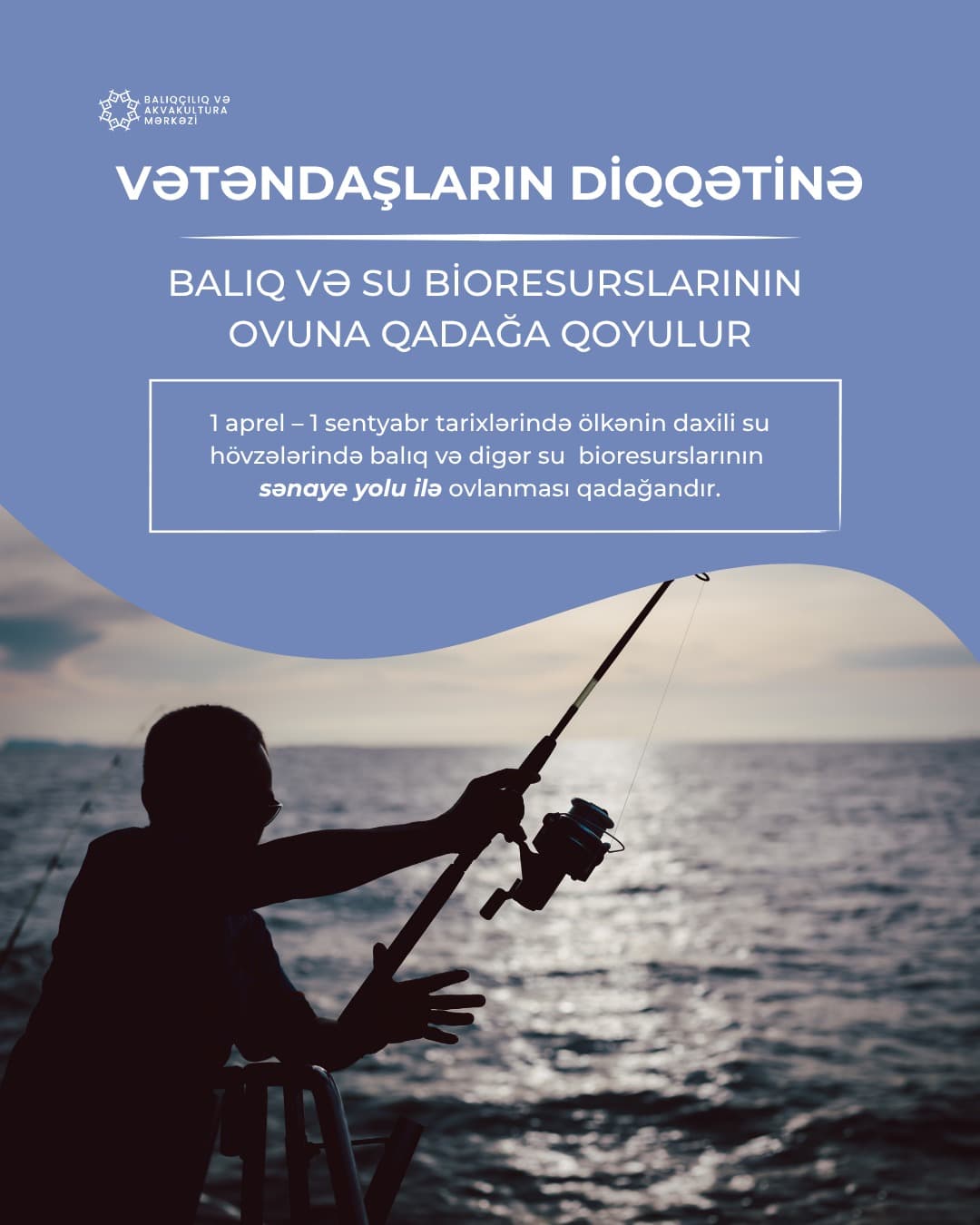 Daxili su hövzələrində sənaye məqsədilə balıq və digər su bioresurslarının ovu qadağan edilir - Şəkil 1