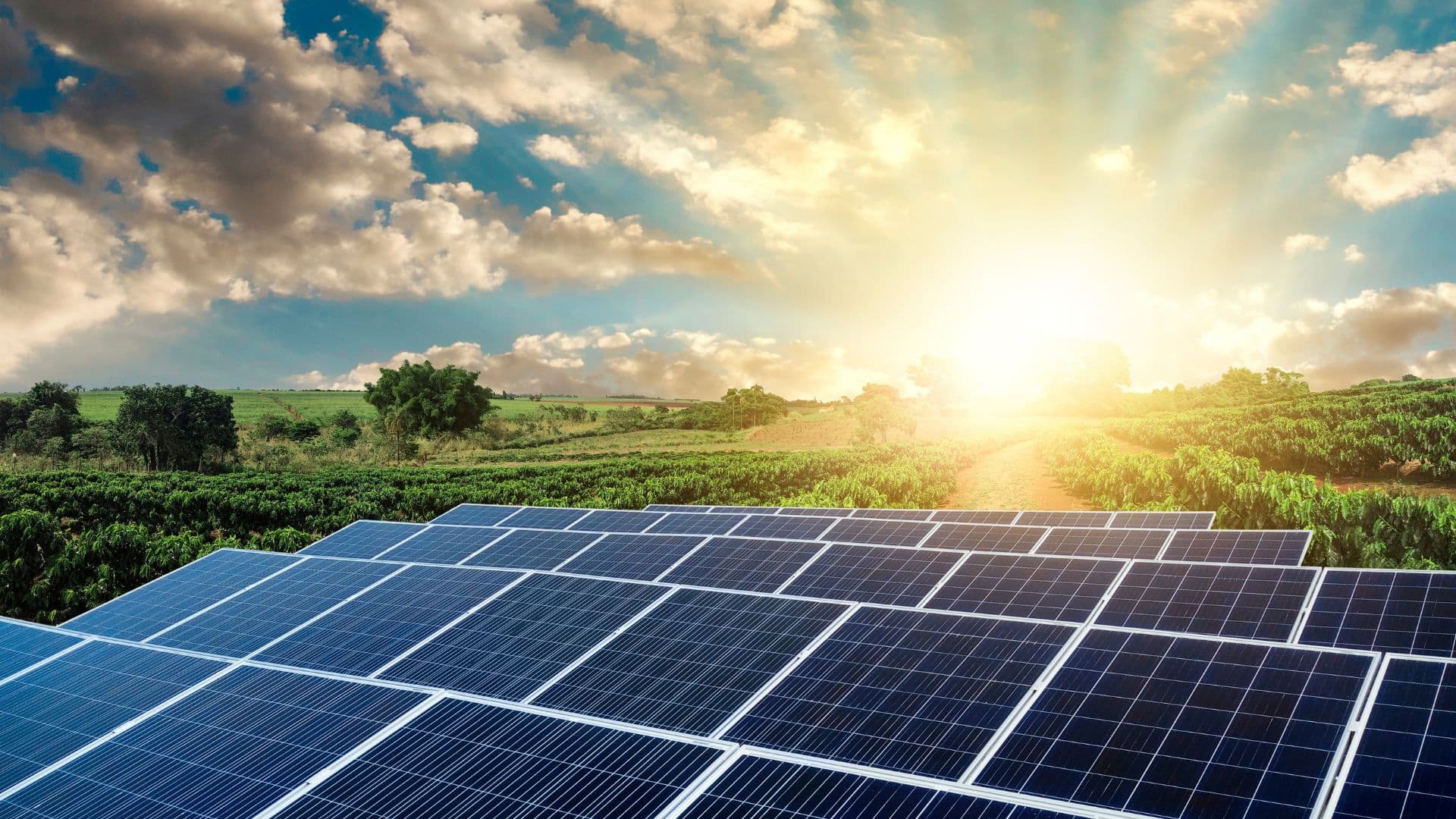 Azərbaycanda günəş enerjisinin gücü son 10 ildə 11 dəfə artıb