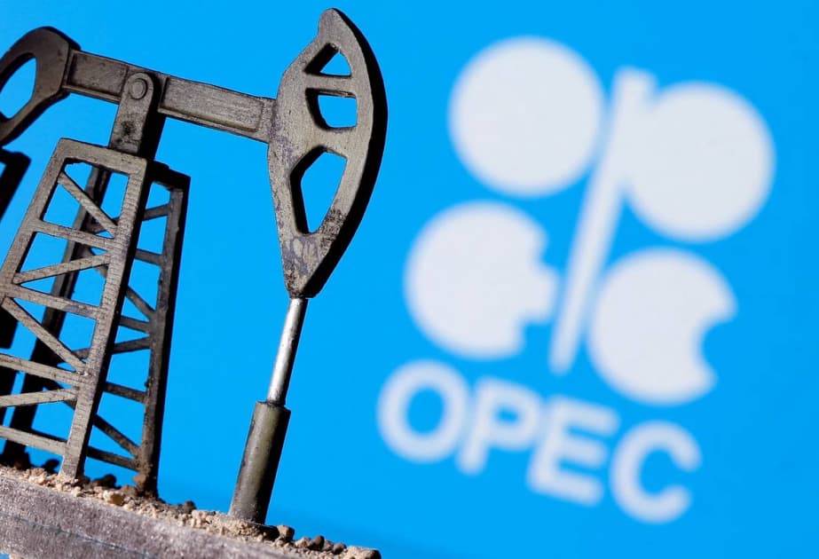 Martda OPEC üzrə neft hasilatı kəskin azalıb