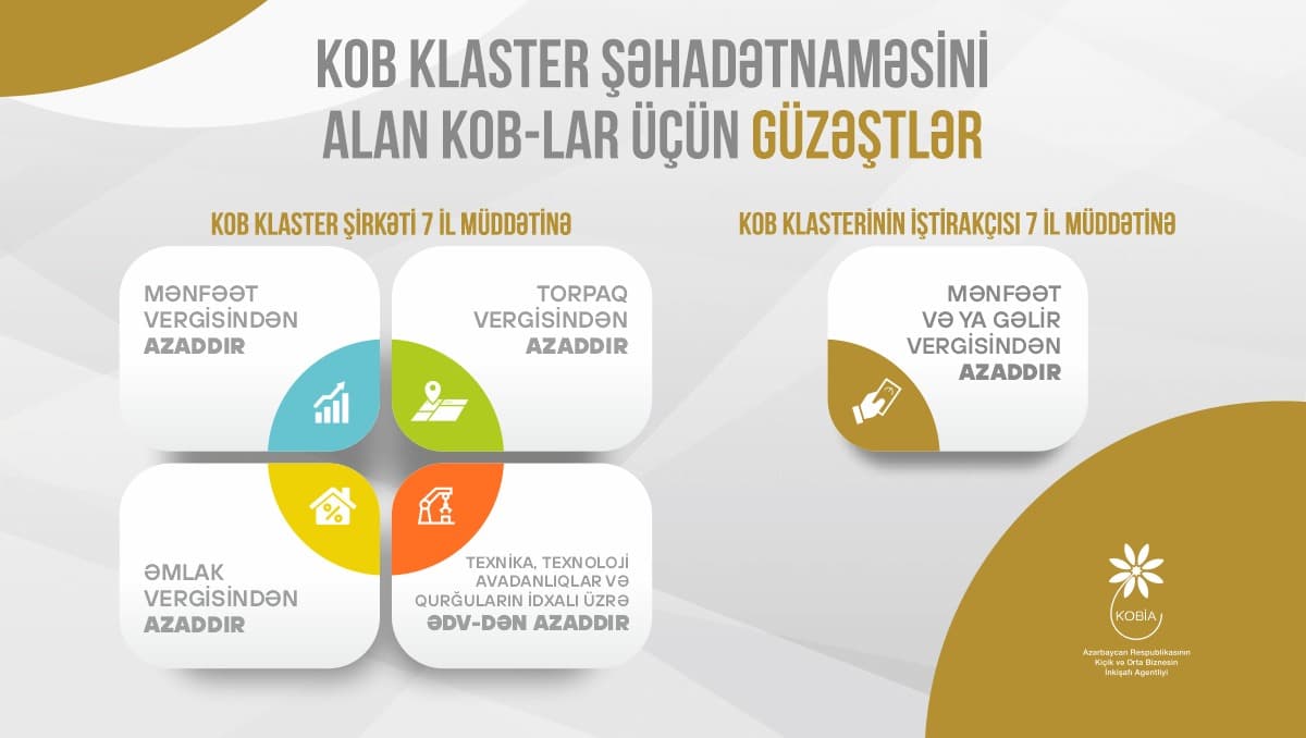 Qarabağ və Şərqi Zəngəzurda KOB klasterlər üçün böyük iqtisadi potensial var - Altun Yasinli - Şəkil 1