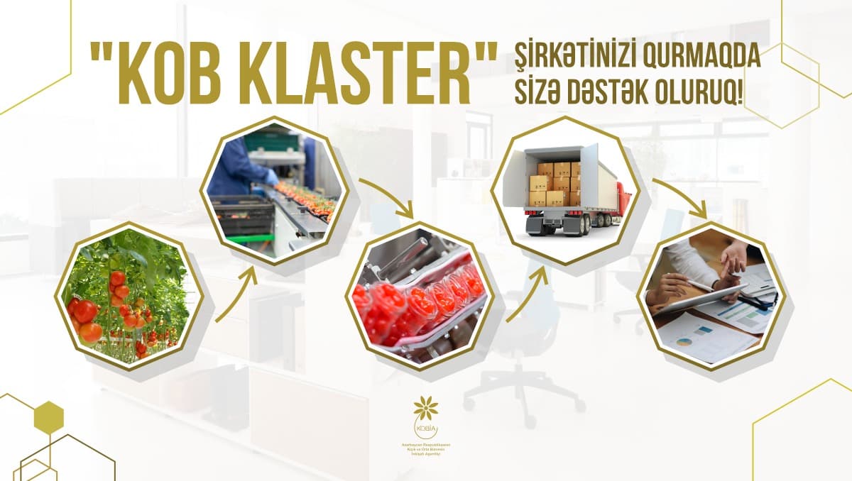 Qarabağ və Şərqi Zəngəzurda KOB klasterlər üçün böyük iqtisadi potensial var - Altun Yasinli - Şəkil 2