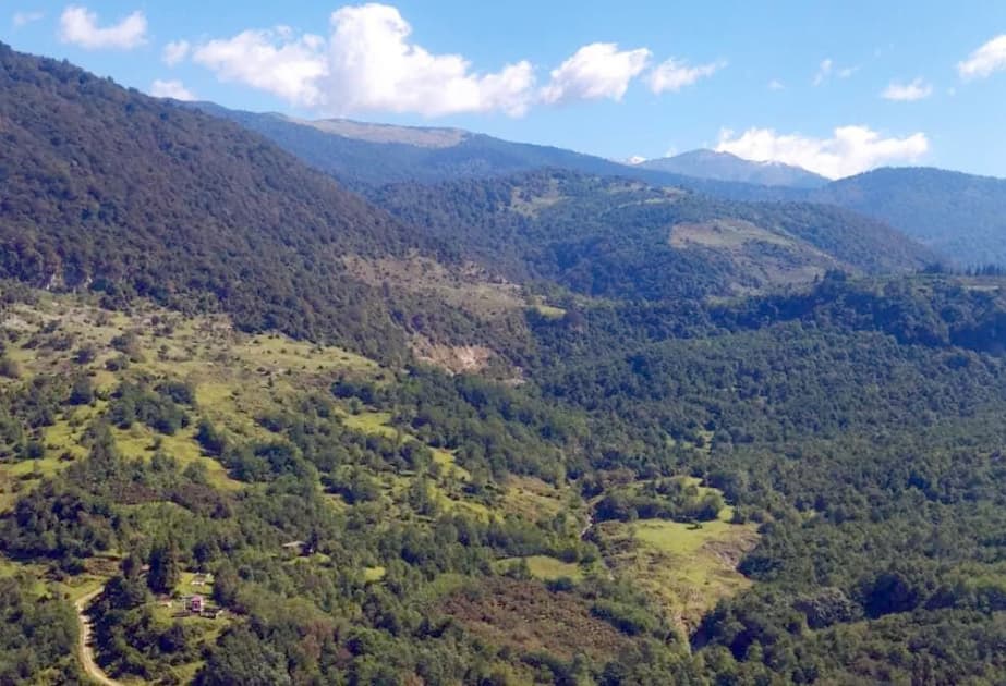 Gürcüstanda yeni “Egrisi Milli Parkı” yaradılır