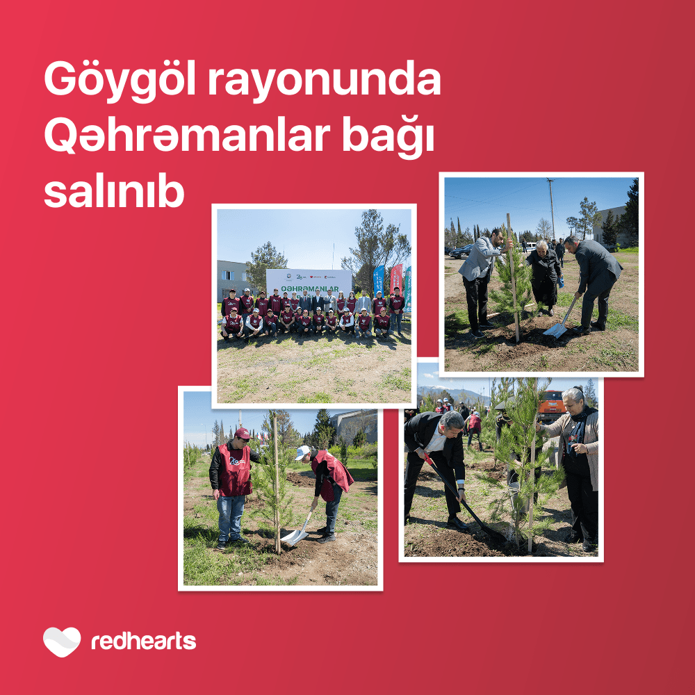 Göygöldə “Qəhrəmanlar bağı” aksiyası həyata keçirilib - Şəkil 1