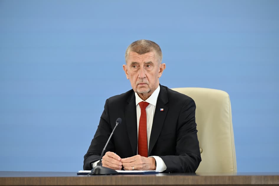 Prezident İlham Əliyevin və Andrey Babişin iştirakı ilə Azərbaycan-Çexiya biznes-forumu keçirilib - Şəkil 5