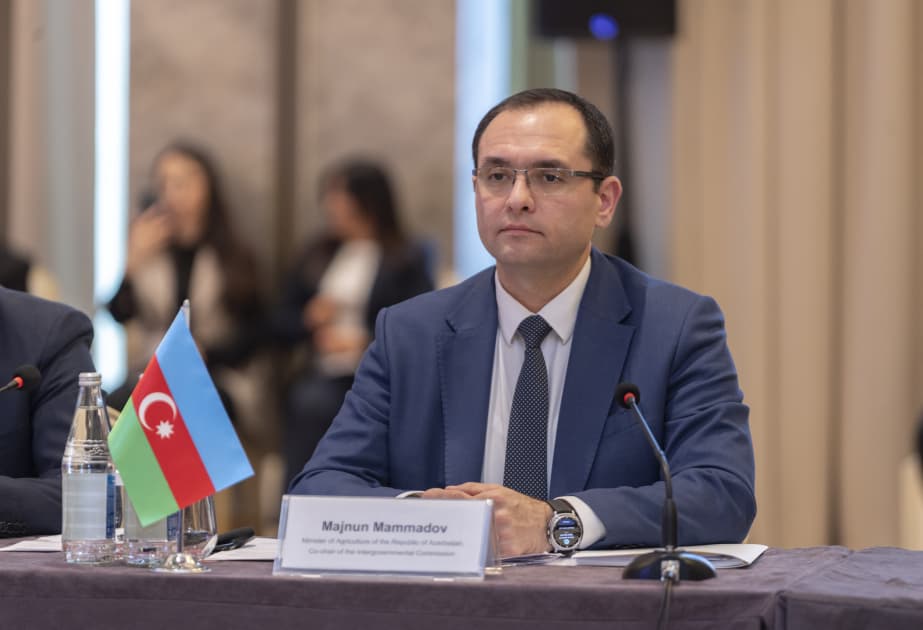Yeni aqrar modellər yüksək məhsuldarlıq yaradacaq - Məcnun Məmmədov