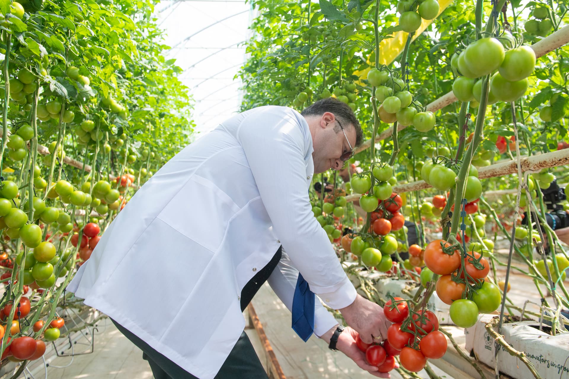 Aqrar Sektorda Beynəlxalq Təcrübə Mübadiləsi Aparıldı - Şəkil 11