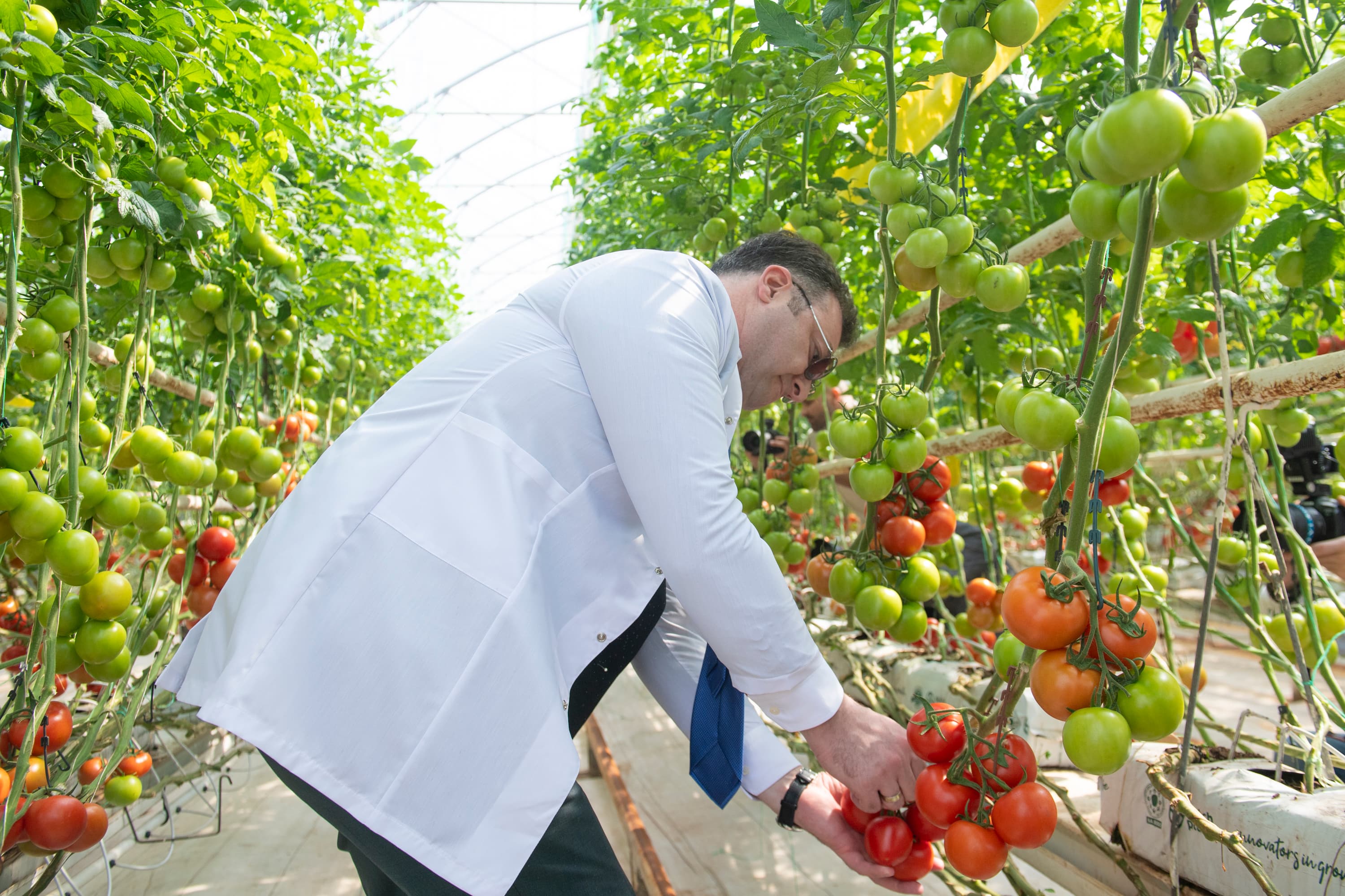 Aqrar Sektorda Beynəlxalq Təcrübə Mübadiləsi Aparıldı - Şəkil 11