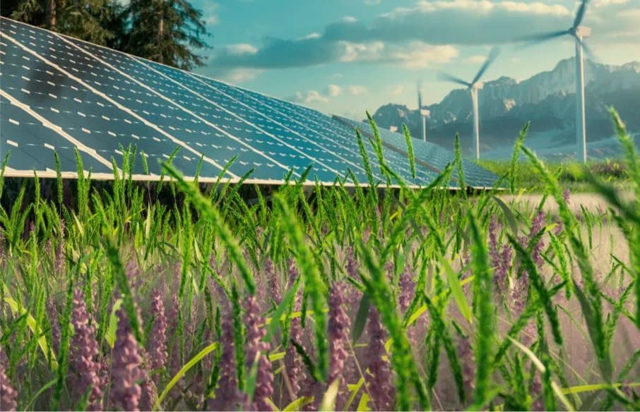 Azərbaycanda kənd təsərrüfatı “yaşıl enerji”yə keçir – yeni qaydalar açıqlanıb