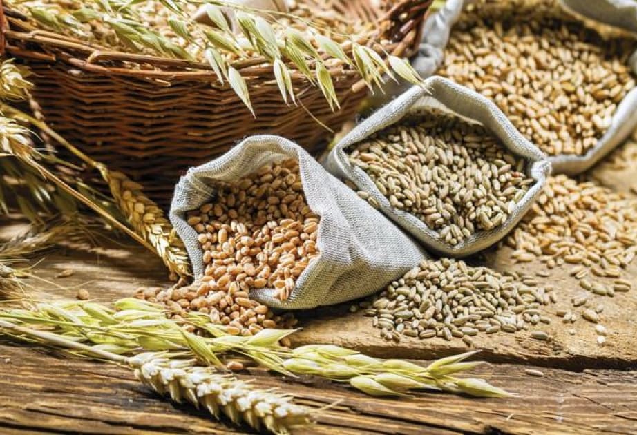 FAO: Qlobal buğda istehsalı bu il azalacaq