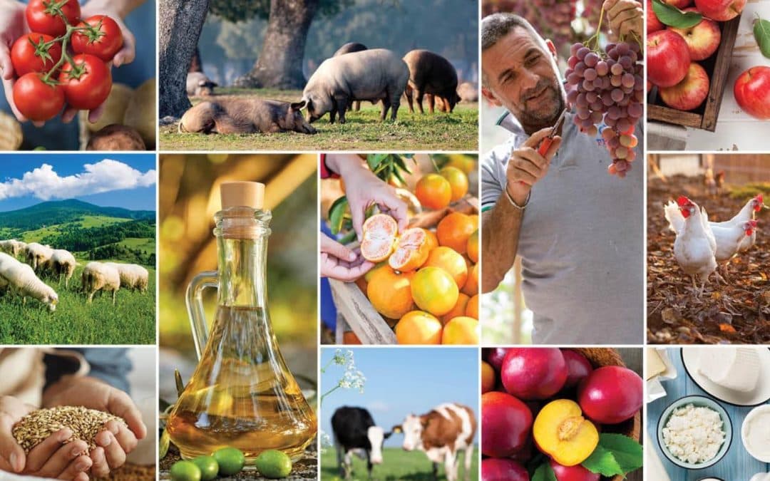 Azərbaycanda kənd təsərrüfatı məhsullarının istehsalı artıb