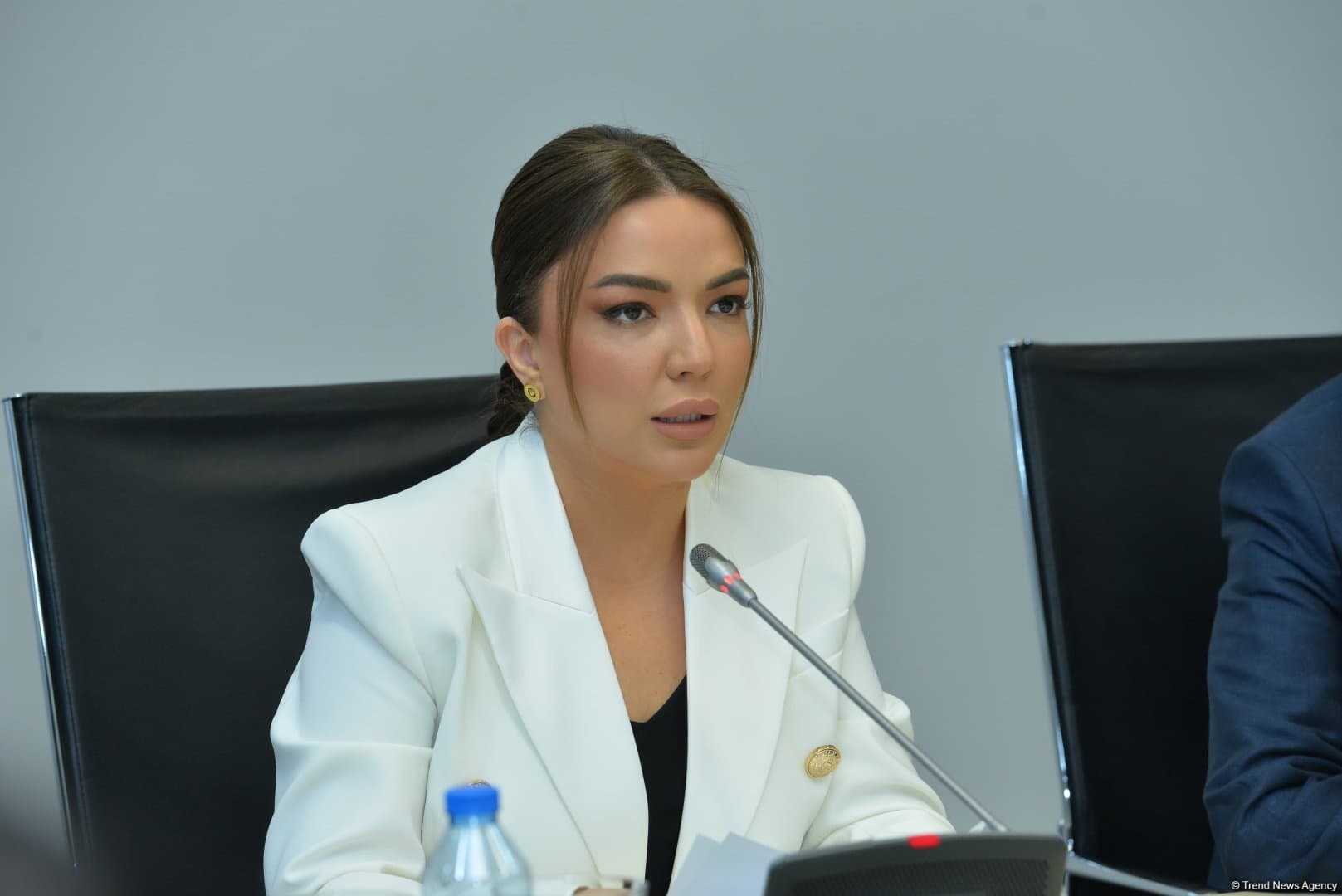 Azərbaycan yeni urban inkişaf modeli yaradır - Aygün Əliyeva