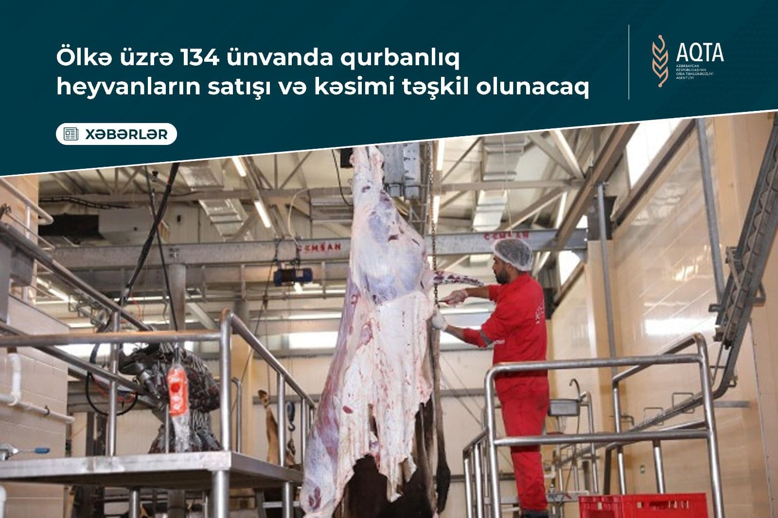 Azərbaycanda qurbanlıq heyvanların satış və kəsim qaydaları açıqlanıb - Şəkil 1