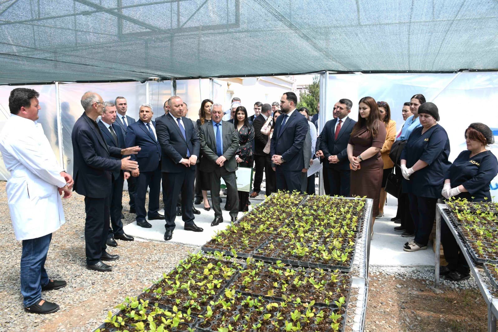 ADAU-da Biotexnologiya üzrə Bitkilərin Adaptasiya Otağının açılışı olub