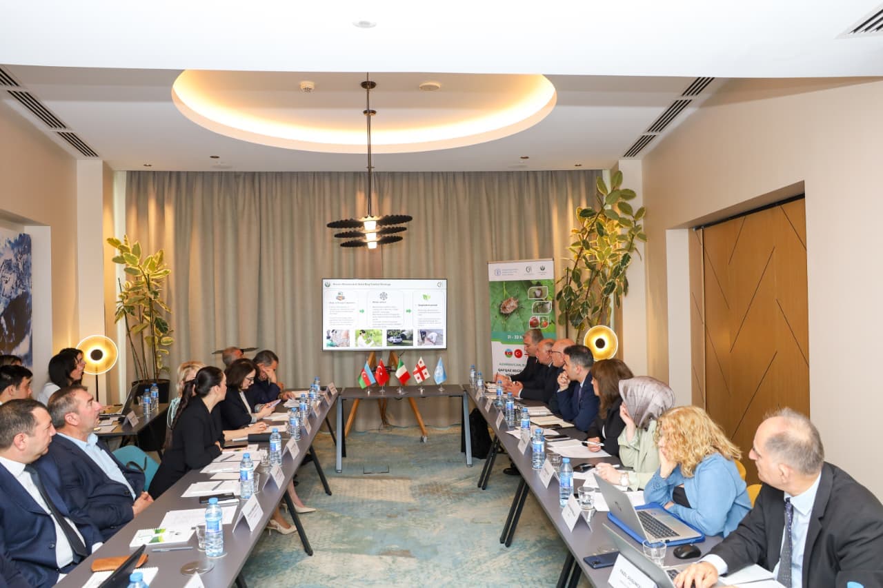 Qəhvəyi mərmər bağacığına qarşı mübarizə ilə bağlı beynəlxalq seminar keçirilib