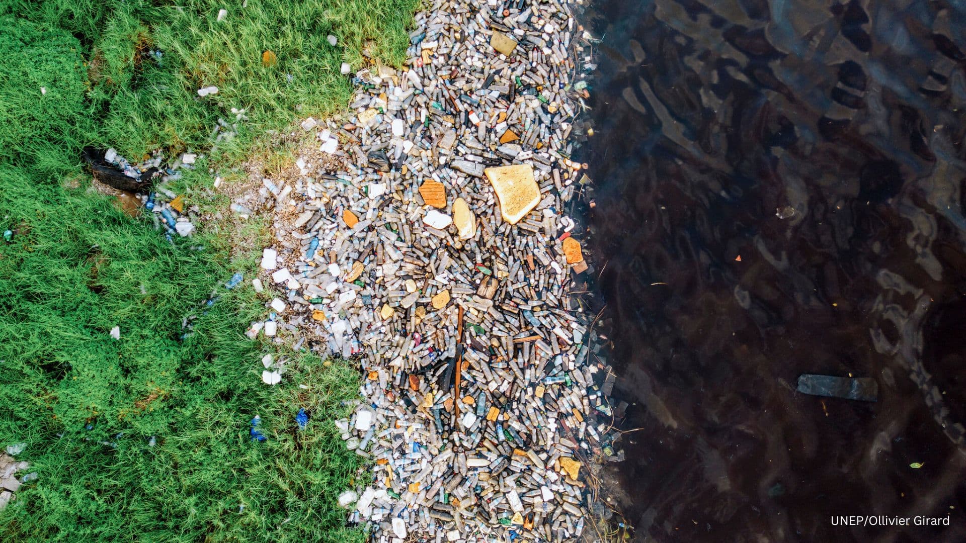 Dünyada hər il 23 milyon tona yaxın plastik tullantı ekosistemləri çirkləndirir