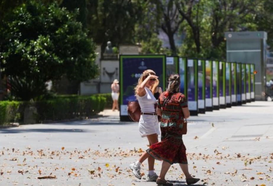İspaniyada isti hava səbəbindən rekord sayda ölüm qeydə alınıb