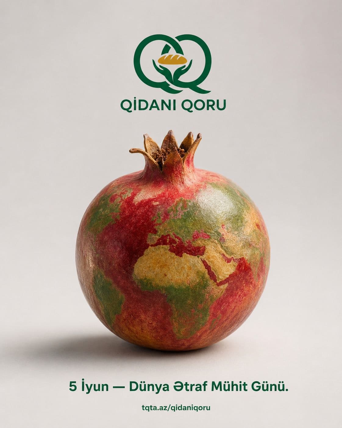 Dünyada İstehsal Olunan Qidanın Hər İl Üçdə Biri İtirilir və ya İsraf Edilir — 2