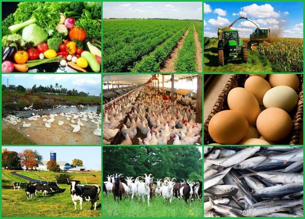 Azərbaycanda kənd təsərrüfatı məhsullarının istehsalı artıb