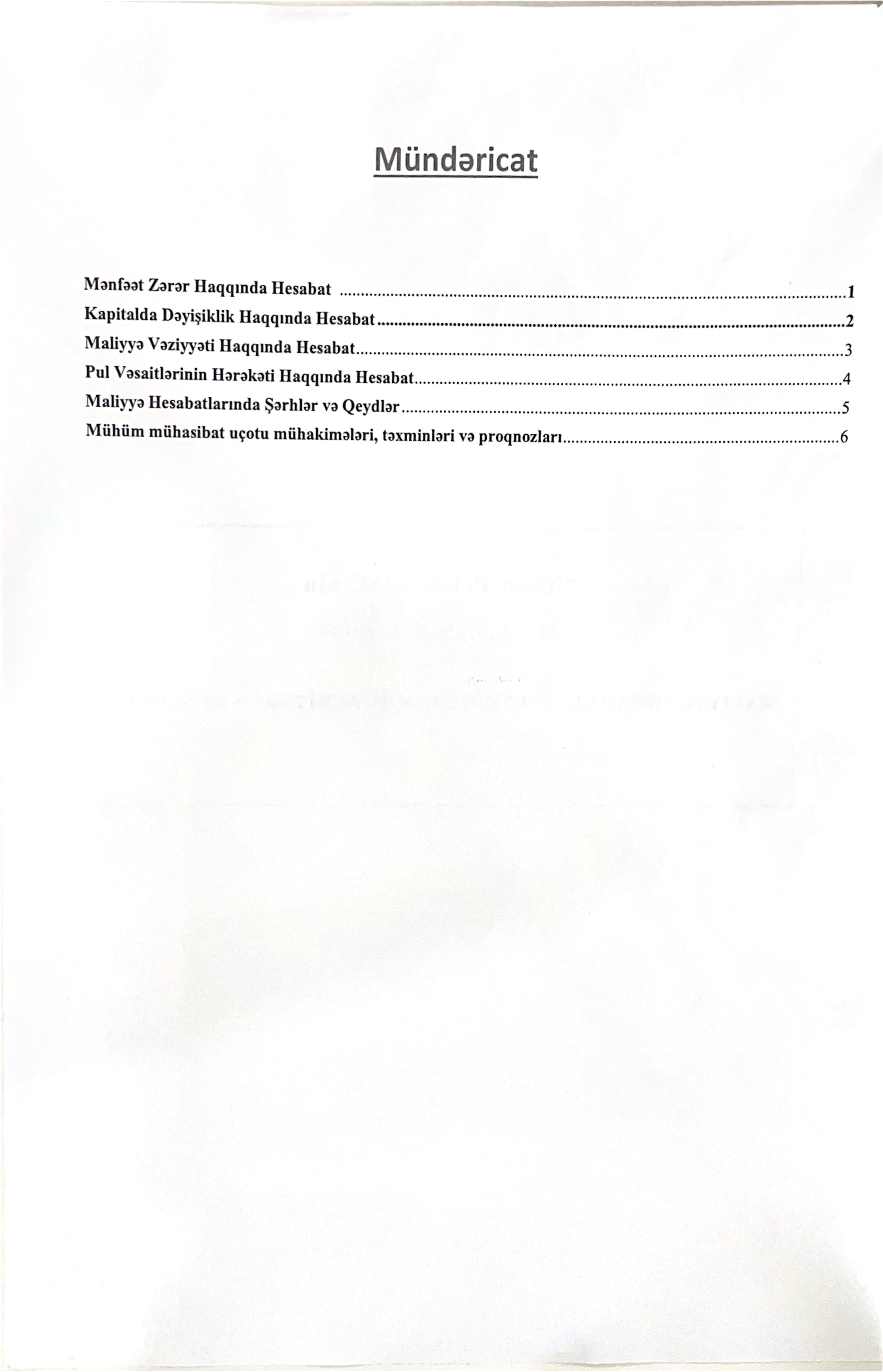 Audit hesabatı — 15