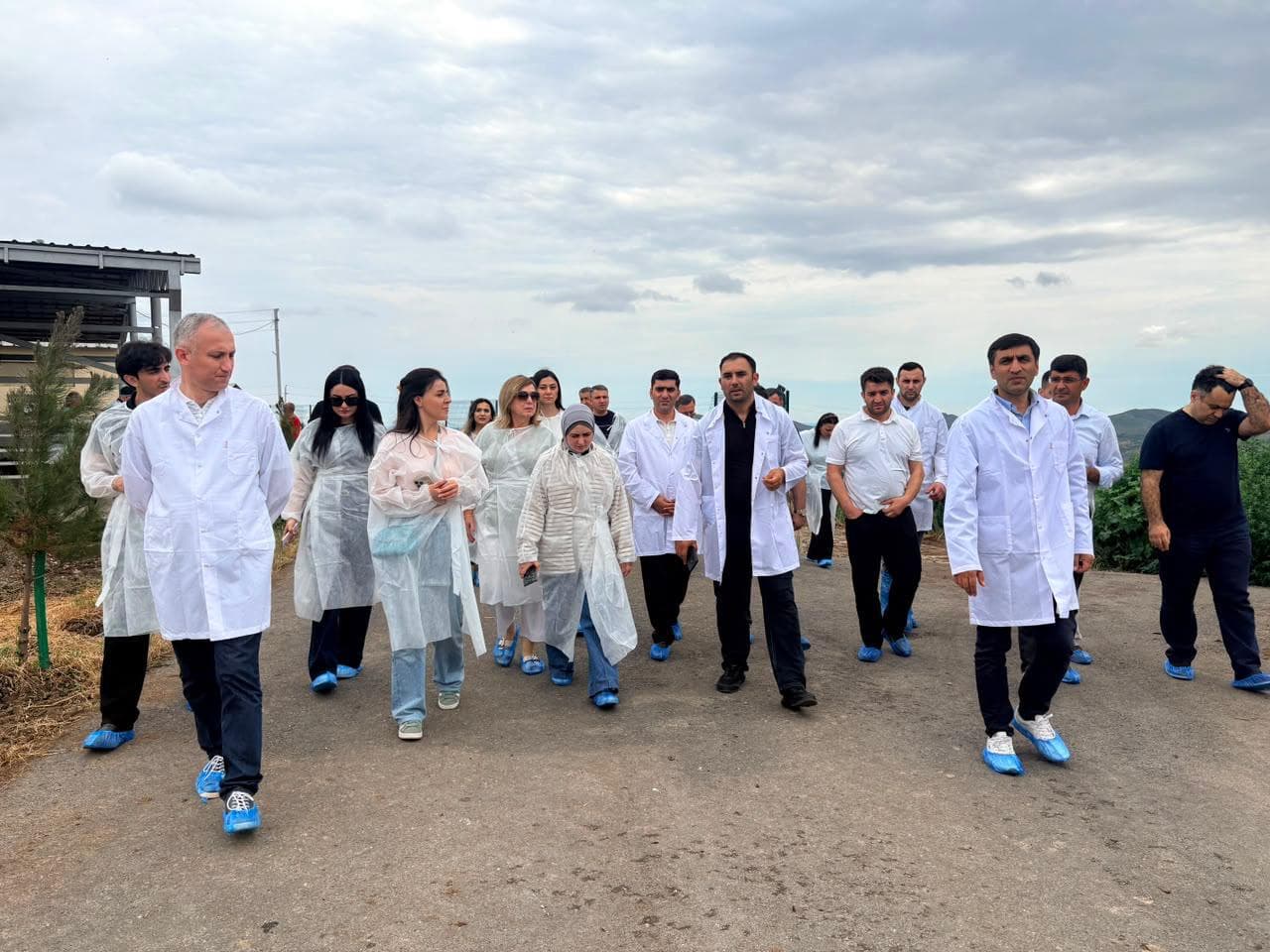Aqrar Xidmətlər Agentliyinin əməkdaşları Xocalıda damazlıq heyvandarlıq kompleksi ilə tanış olublar — 2