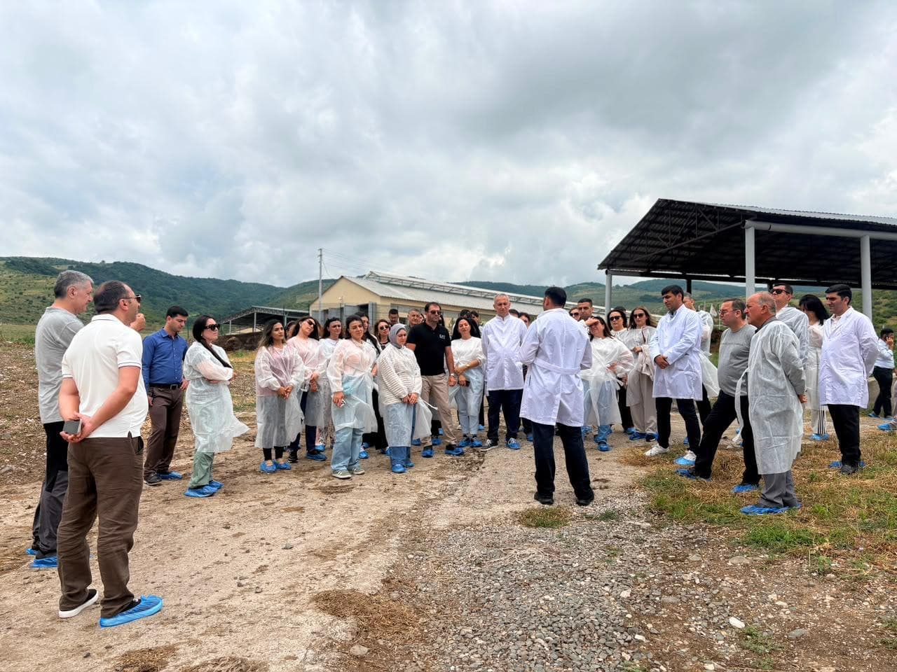 Aqrar Xidmətlər Agentliyinin əməkdaşları Xocalıda damazlıq heyvandarlıq kompleksi ilə tanış olublar — 6