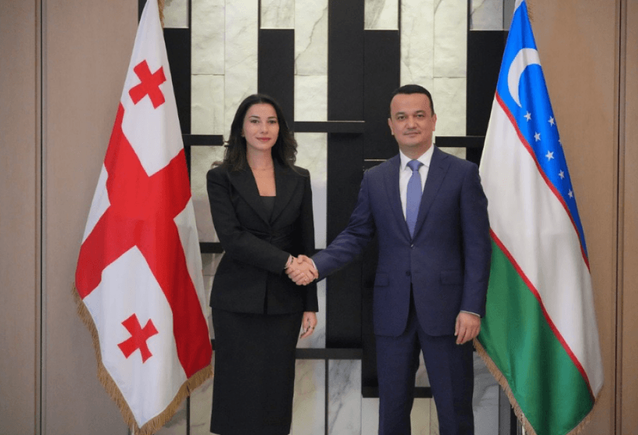 Gürcüstan və Özbəkistan regional logistika layihələrini müzakirə ediblər