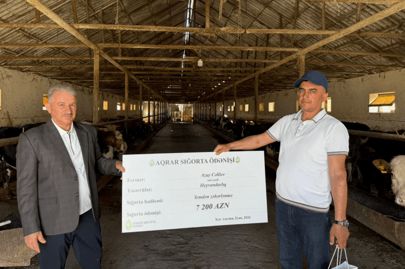 Aqrar Sığorta Fondu Xaçmaz və Xızı fermerlərinə sığorta ödənişləri edib - Şəkil 1