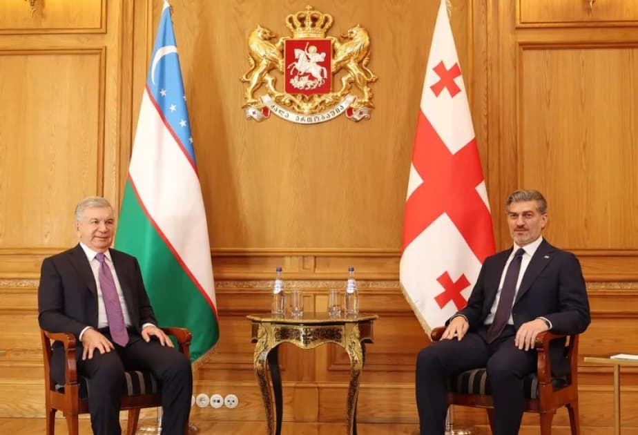 Gürcüstan və Özbəkistan prezidentləri strateji tərəfdaşlığı müzakirə ediblər