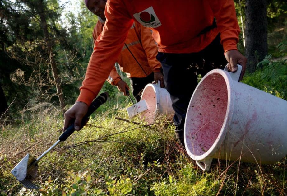 Finlandiya əmək istismarına qarşı yaşayış icazəsi qaydalarını sərtləşdirir