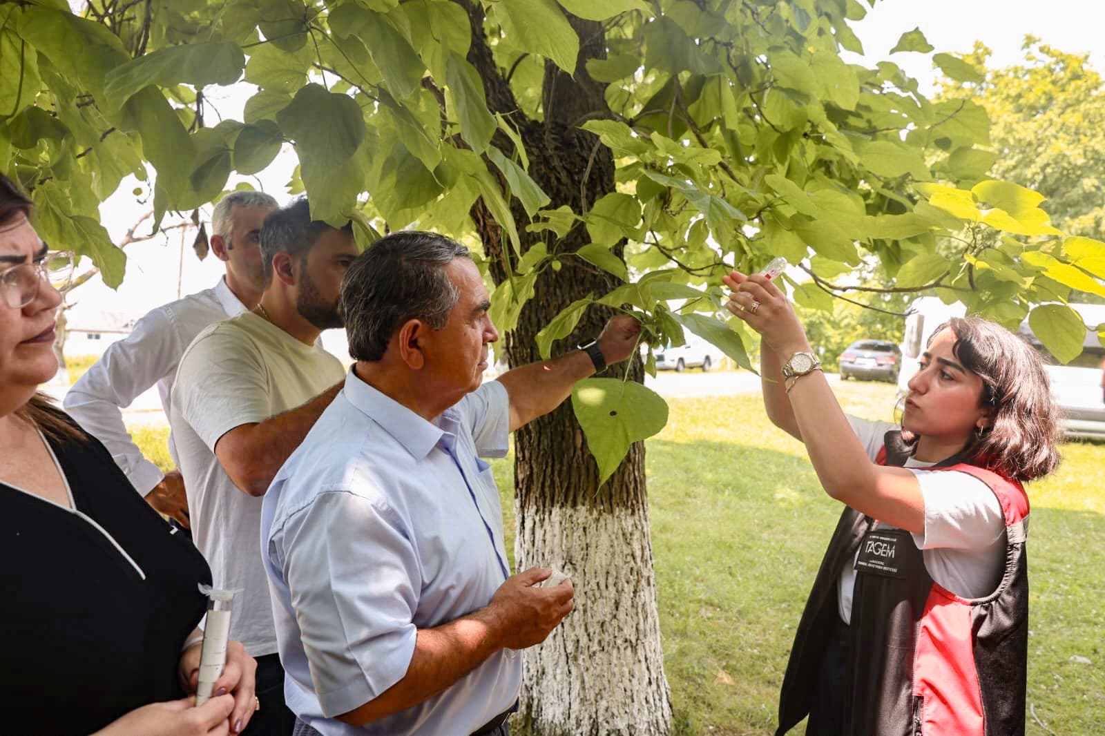 Qəhvəyi mərmər bağacığına qarşı Samuray arılarının təbii mühitə buraxılmasına başlanılıb — 6