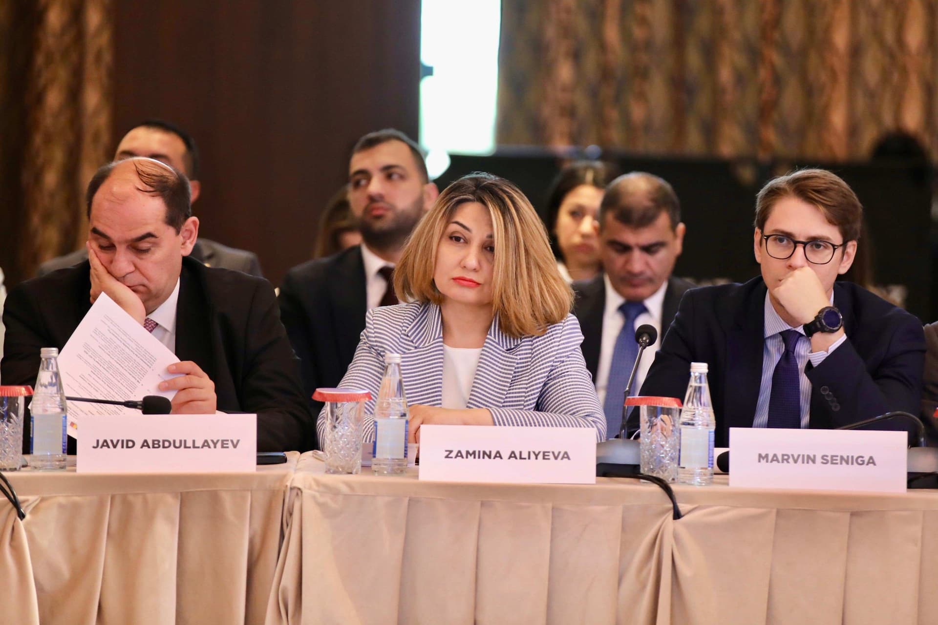 Bakıda “Xəzər-Qara dəniz-Avropa Yaşıl Enerji Dəhlizi” layihəsi üzrə Nazirlər İclası keçirilib — 13