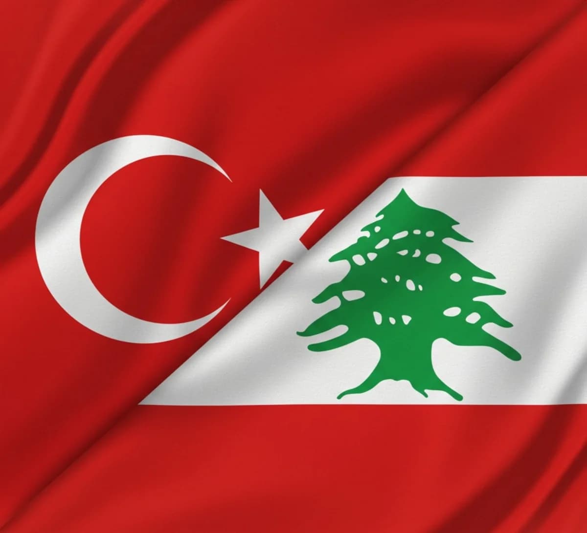 Ərdoğan Livan Baş naziri ilə ikitərəfli əlaqələri müzakirə edəcək