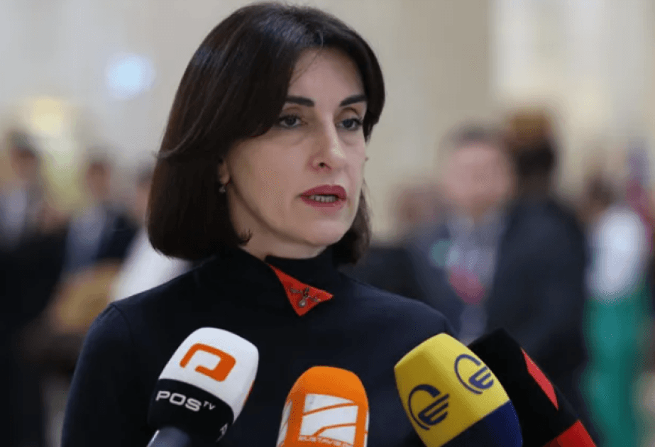 Maka Boçorişvili: Gürcüstan xalqının demokratik seçiminə hörmət edilməlidir