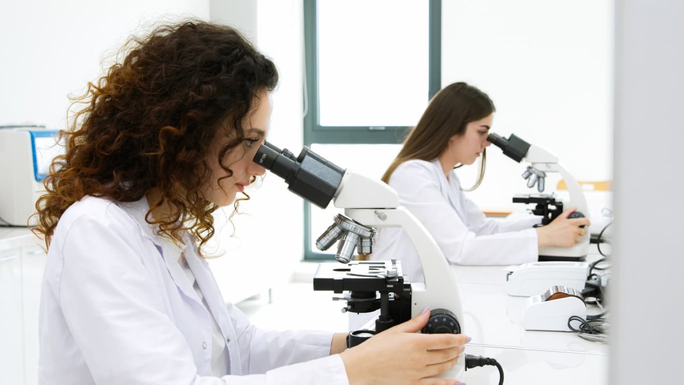 VAKANSİYA - Baş laborant