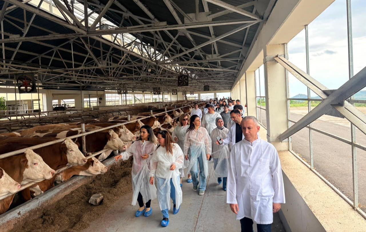 Aqrar Xidmətlər Agentliyinin əməkdaşları Xocalıda damazlıq heyvandarlıq kompleksi ilə tanış olublar