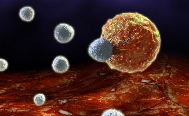 Cərrah XƏRÇƏNG xəstəliyi haqqında vacib SİRLƏRİ AÇDI - MÜSAHİBƏ
