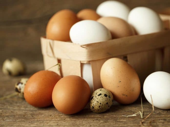 Ölkədə yumurta istehsalı 9% artıb