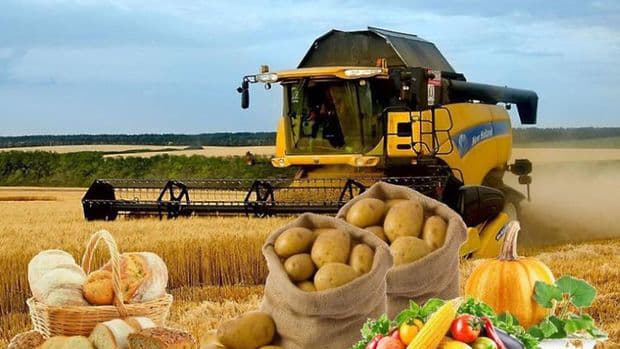Aqrar sığortanın təsir dairəsinə düşən məhsulların siyahısı təsdiqlənib