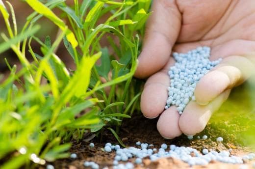 Azərbaycan $106 milyon dəyərində mineral gübrə idxal edib
