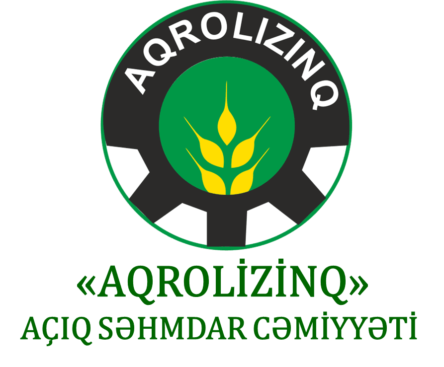 “Aqrolizinq” auditor seçir