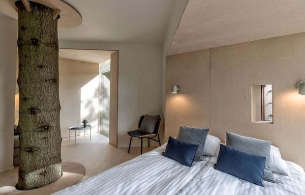Danimarkada ağacların üstündə qeyri-adi hotel açıldı - FOTO