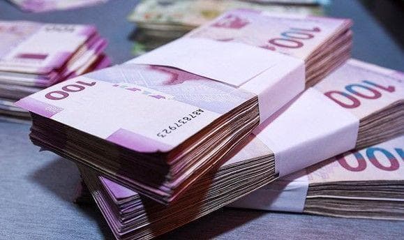 Manatın dövretmə sürəti ilə bağlı yeni məlumat